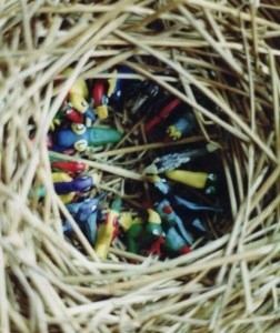 nest